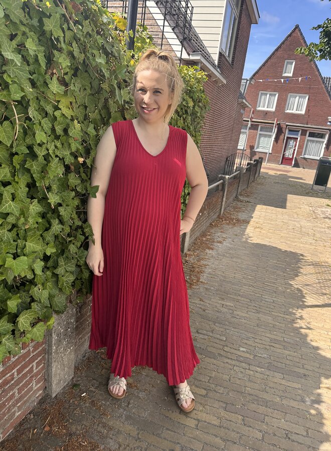 Jurk Lynn (meerdere kleuren)