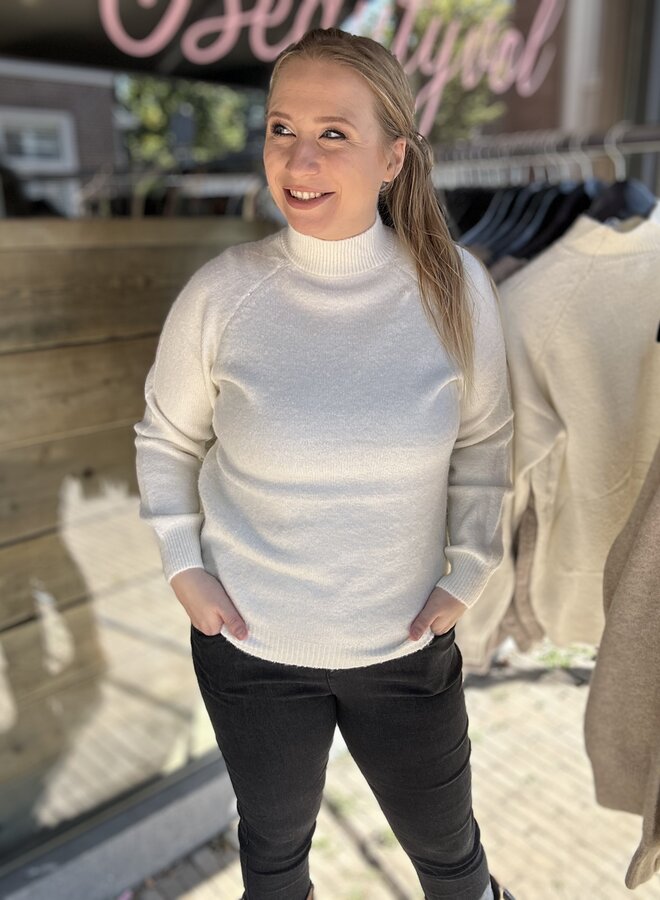 Trui Naomi (meerdere kleuren)
