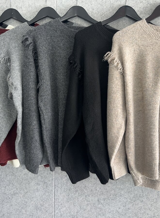 Trui Havey (meerdere kleuren)