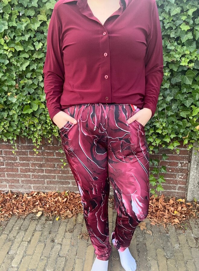 Broek D-2102 Sofie (Meerdere kleuren)’
