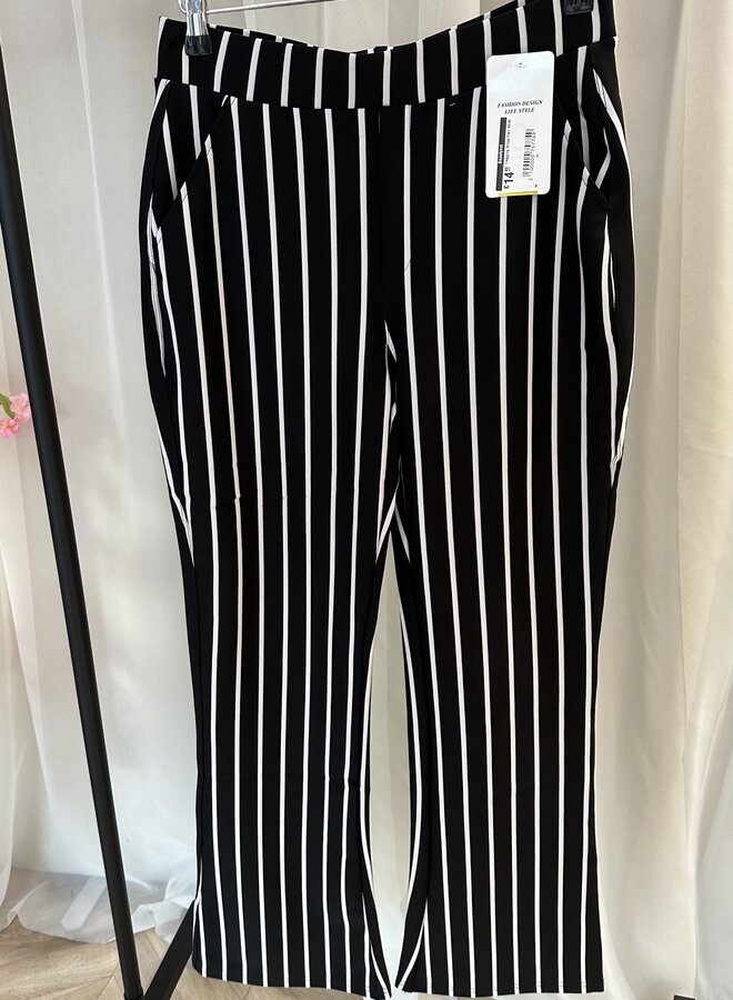 Tregging Stripe Flair