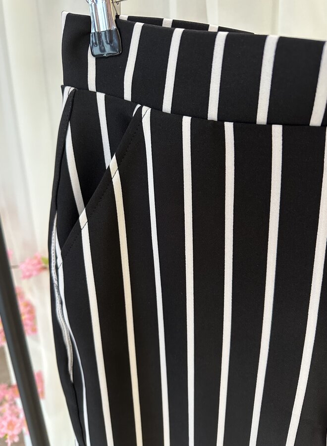 Tregging Stripe Flair