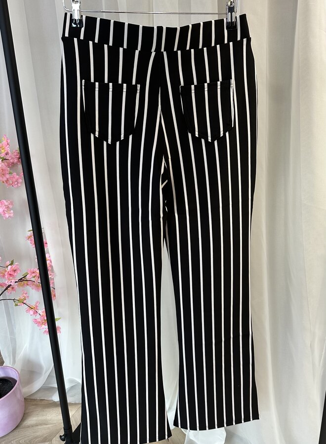 Tregging Stripe Flair