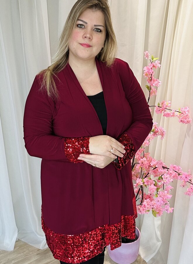 N-2506 Vest Glitter (meerdere kleuren)