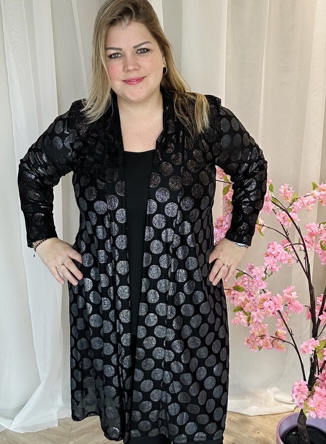 N-2201 Glitter stippen