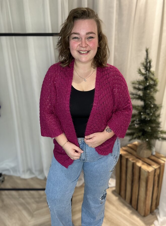 Vest Glitter Lotte ( Meerdere kleuren)