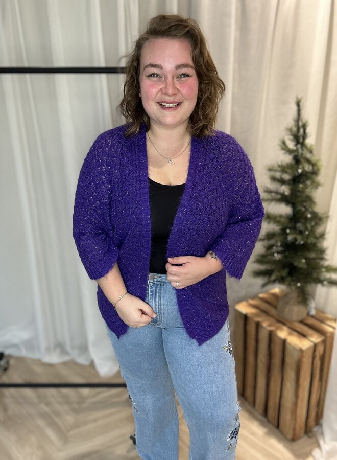 Vest Glitter Lotte ( Meerdere kleuren)