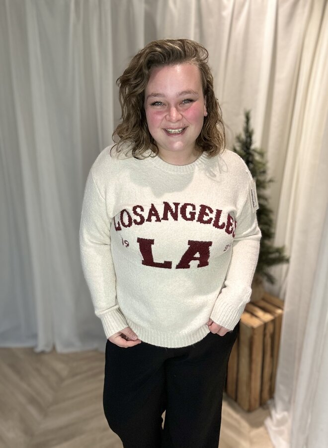 Trui Los Angeles (meerdere kleuren)