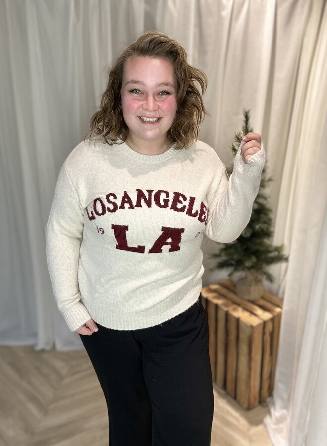 Trui Los Angeles (meerdere kleuren)