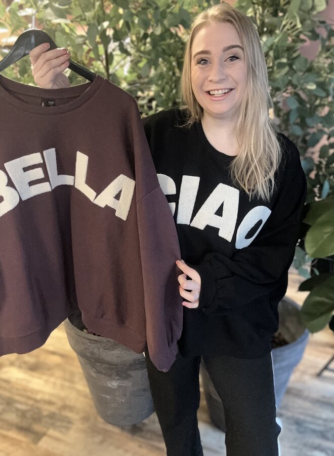 VMCIAOBELLA LS OVERSIZE BRUSHEDSWE CUR Sassafras/BELLA