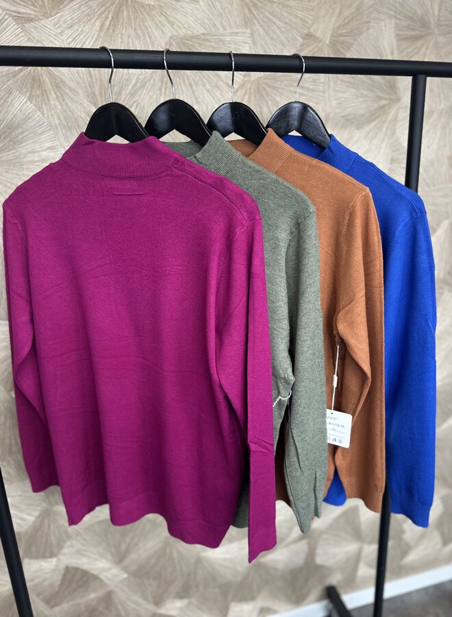 Turlte-neck Trui