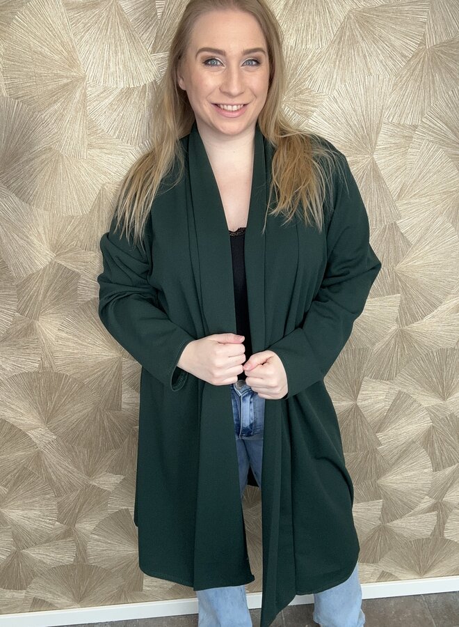 Blazer Trudy (meerdere kleuren)