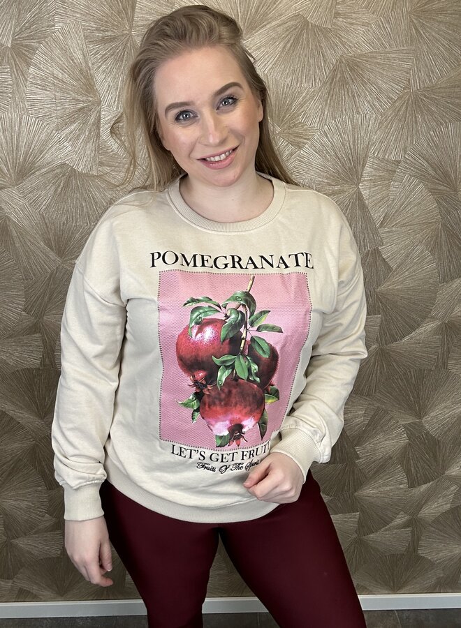 CARLACEY LIFE L/S O-NECK SWEAT JRS Oatmeal/POMEGRANATE