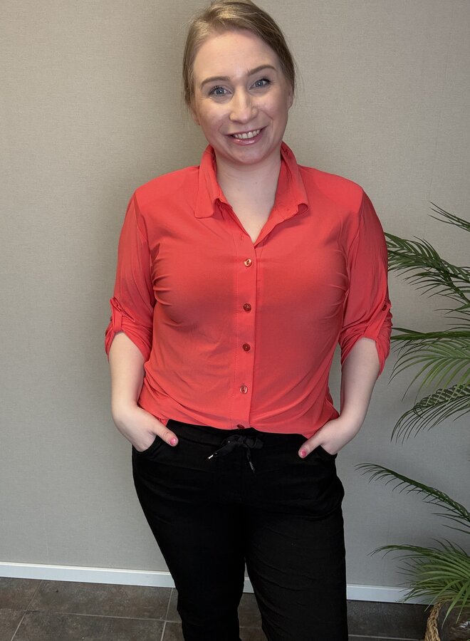 Blouse B-2204 (meerdere kleuren)*