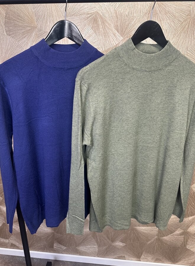 Turtle-neck Trui (meerdere kleuren)
