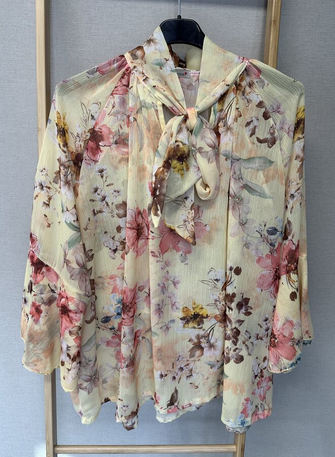 Blouse Wende (Meerdere kleuren)'