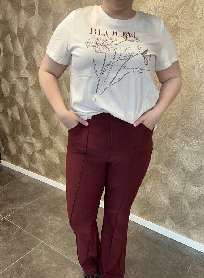 Broek Janneke (meerdere kleuren)