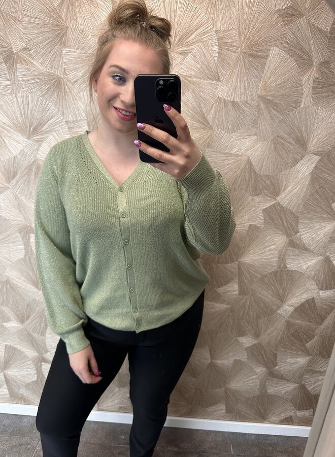 VMCNEWLEX SHINE LS SHORT V-NECK CAR CUR Mistletoe/W. SILVER