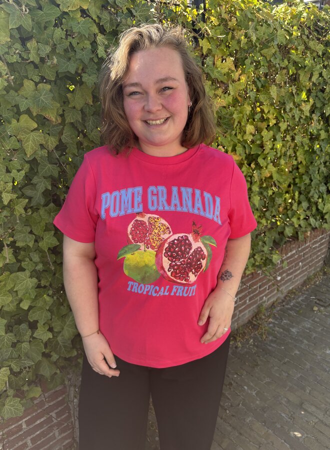 CARJENNY SS PRINT JEANS TEE JRS Raspberry/Granada