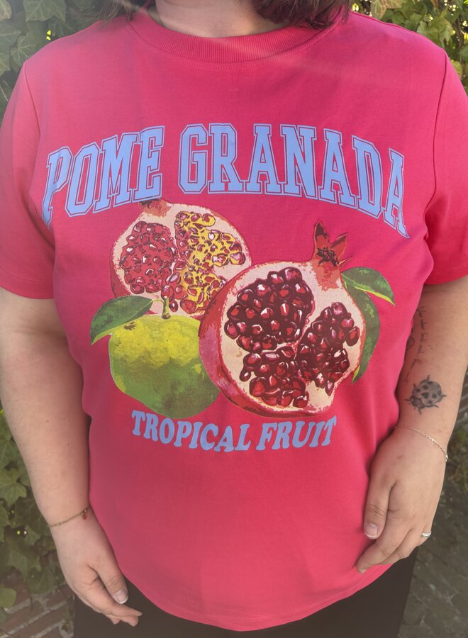 CARJENNY SS PRINT JEANS TEE JRS Raspberry/Granada