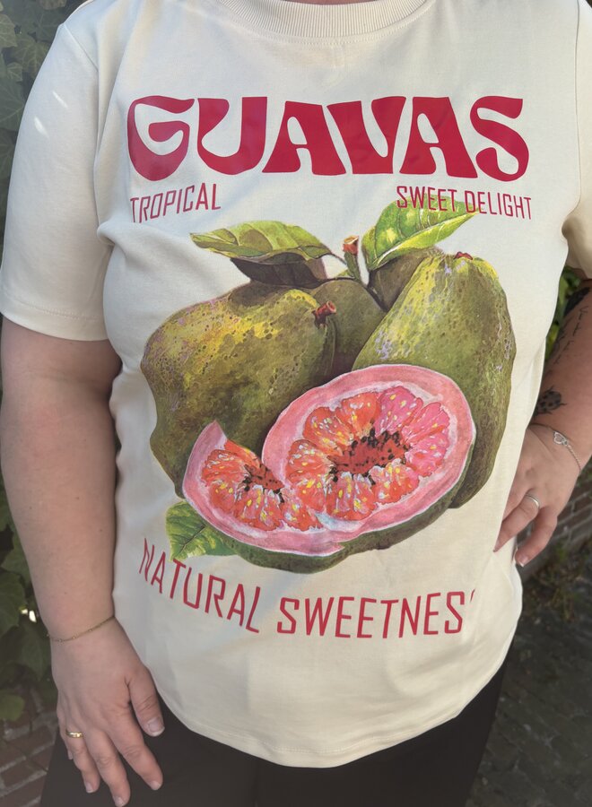 CARJENNY SS PRINT JEANS TEE JRS Birch/Peach