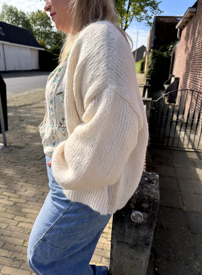 VMMAYBE LS OPEN CARDIGAN GA CUR Birch