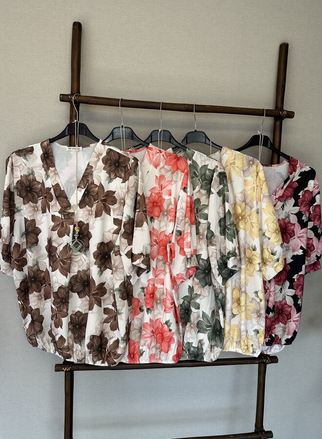 Blouse Romy (meerdere kleuren)