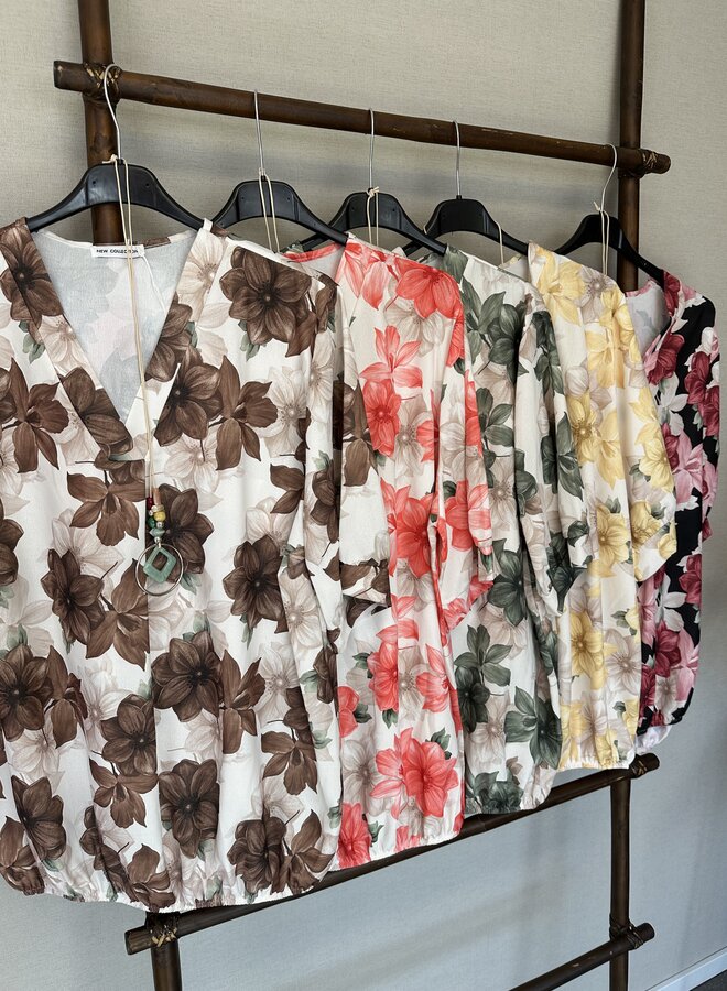 Blouse Romy (meerdere kleuren)
