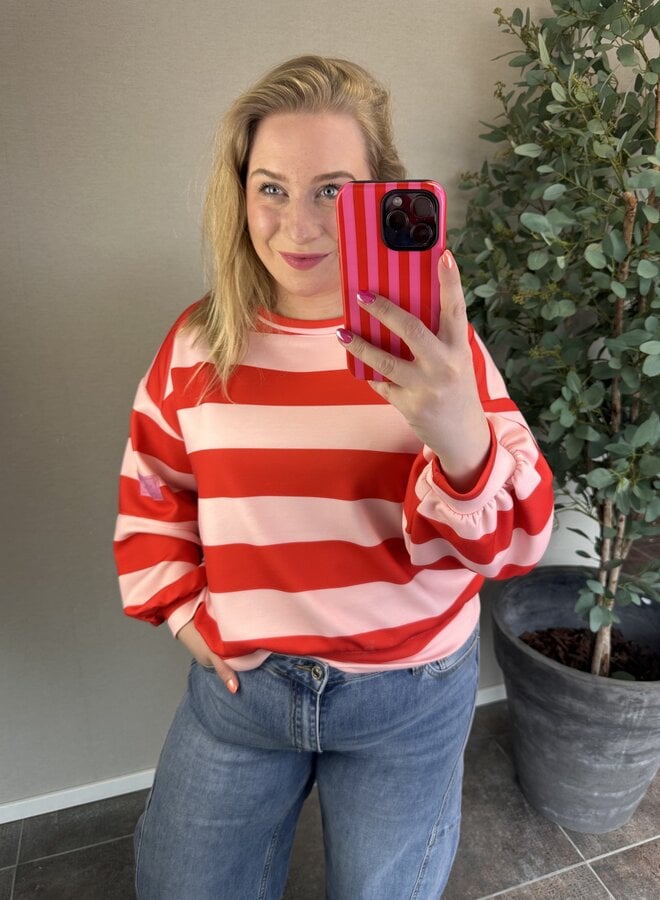 Trui Feline (meerdere kleuren)