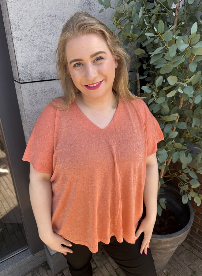 Shirt Spark (meerdere kleuren)