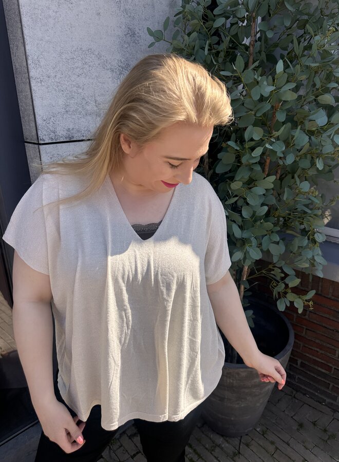 Shirt Spark (meerdere kleuren)