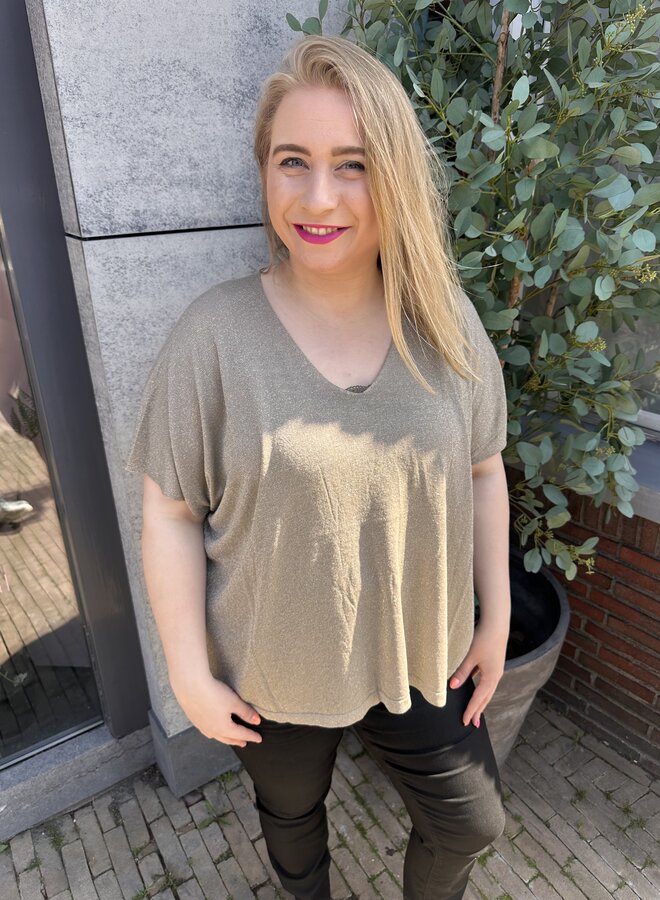 Shirt Spark (meerdere kleuren)