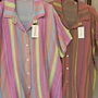 Blouse Lize (meerdere kleuren)