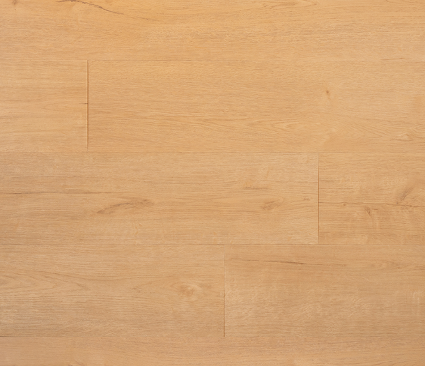 Douwes Dekker Praktisch SPC Plank Biscuit Rigid Click PVC Douwes Dekker Praktisch SPC Plank Biscuit Rigid Click PVC