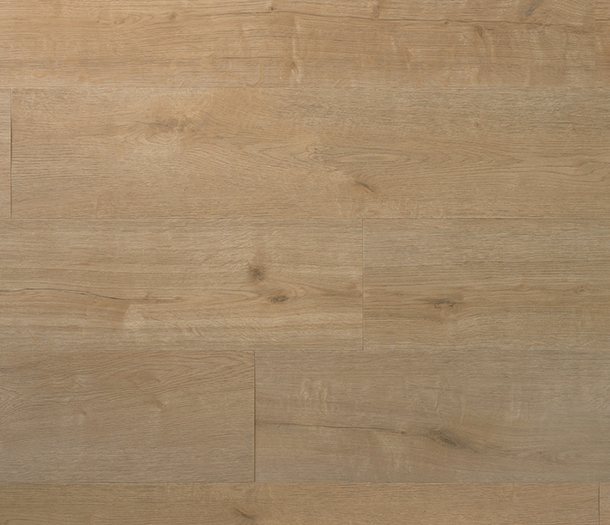 Douwes Dekker Praktisch SPC Plank Wafel Rigid Click PVC Douwes Dekker Praktisch SPC Plank Wafel Rigid Click PVC