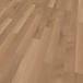 mFlor mFLOR Broad Leaf Pure Sycamore 41822 Plak PVC mFlor mFLOR Broad Leaf Pure Sycamore 41822 Plak PVC
