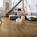 mFlor mFLOR River Oak XL Danube 73022 Plak PVC mFlor mFLOR River Oak XL Danube 73022 Plak PVC