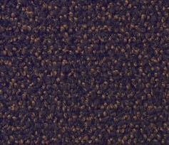 Deurmat Praktisch Bruin 60x90 cm.