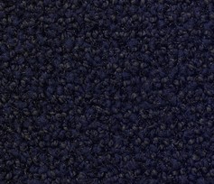 Deurmat Praktisch Blauw 60x90 cm.