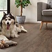 COREtec COREtec Essentials 1500 Jasper Oak LVR 9601 Rigid Core Click PVC COREtec COREtec Essentials 1500 Jasper Oak LVR 9601 Rigid Core Click PVC