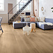 Solcora Solcora Silence River Oak 56029 Tarn Rigid Click PVC Solcora Solcora Silence River Oak 56029 Tarn Rigid Click PVC