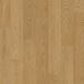Beautifloor Beautifloor Jackson Brighton Laminaat Beautifloor Beautifloor Jackson Brighton Laminaat