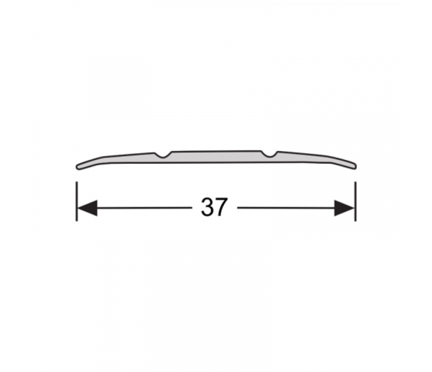 Dilatatieprofiel Zelfklevend 37 mm. Zilver Dilatatieprofiel Zelfklevend 37 mm. Zilver
