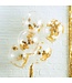 5 ballonnen met gouden ster confetti