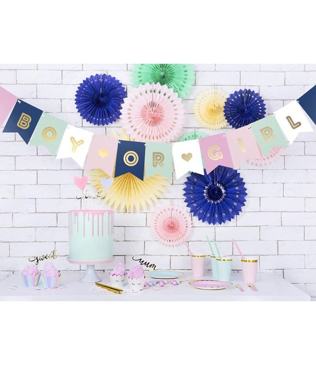 Boy or girl? - Gender reveal slinger