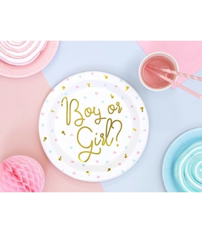 Boy or girl? bordjes - Gender reveal - 6 stuks
