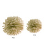 Pompom goud - 25 cm