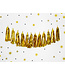 Tassel slinger goud | 2 meter | 12 tassels | DIY