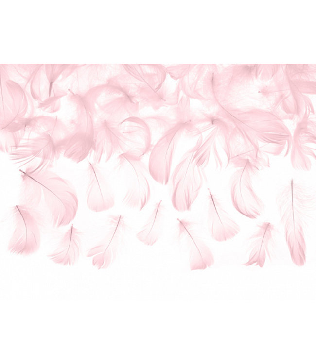 klauw vlam de studie Roze decoratieve veren - 3 gram - Feestdeco