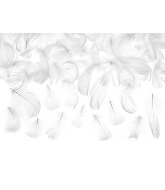 PartyPal Witte veertjes | 50 stuks | 5-8 cm